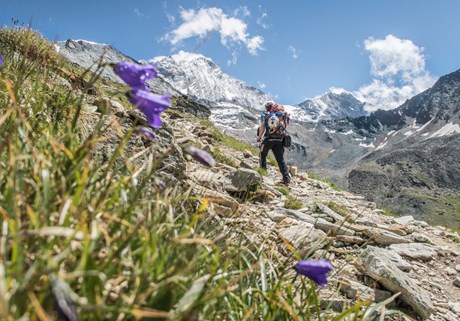 10 Viertausender-Highlights in den Alpen