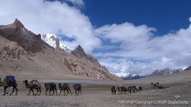 Karawane: Mit Kamelen unterwegs. Bild: National Geographic/Ralf Dujmovits.