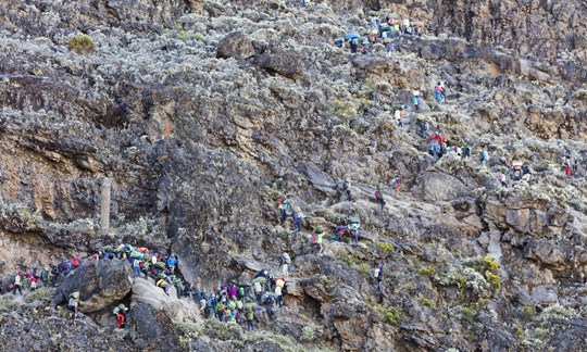 Am Kilimandscharo ist immer viel los: Wanderer und Träger an der "Barranco Wall".