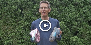 Video: Trailrunning-Schuhe im Vergleich