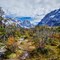 Herbst in Patagonien