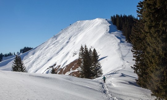 Isartaler Skitourenschmankerl: Seekarkreuz, 1601 m