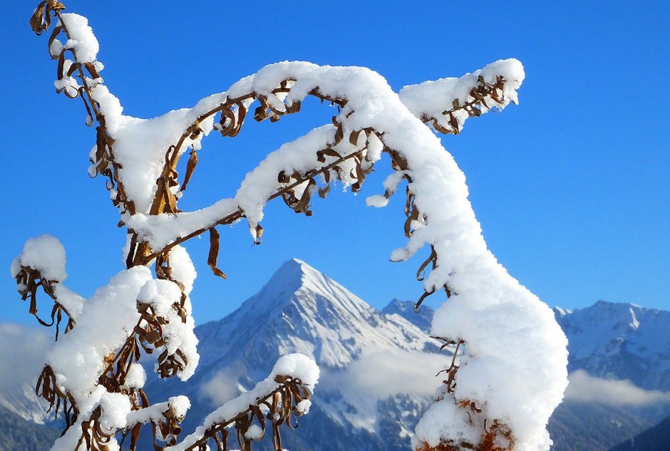 Ein winterlicher Bilderrahmen für die Üntschenspitze