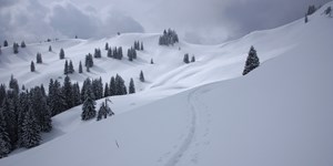 ALPIN-PICs im Januar: Fotowettbewerb "Wintertraum! Berglandschaften in weißem Kleid"