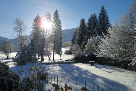  Fotowettbewerb "Wintertraum! Berglandschaften in weißem Kleid" - die Bilder zum Durchklicken