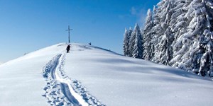 Skitour für Einsteiger: Zwieselberg von Lehen