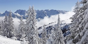 Skitour von Garmisch-Partenkirchen auf den Wank