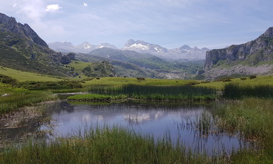 Campingplatz Picos de Europa: Lagos de Covadonga